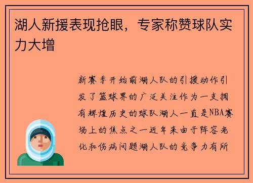 湖人新援表现抢眼，专家称赞球队实力大增